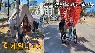 🛵슈퍼커브 모토캠핑 활용기⛺️