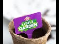 How to set up your Little Garden seedling kit