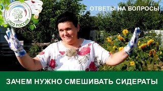 Почему нужно смешивать сидераты. Что хотят знать о сидератах садоводы.