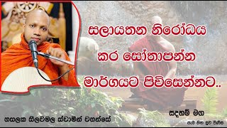 සලායතන නිරෝධය කර සෝතාපන්න මාර්ගයට පිවිසෙන්නට..1407Ven Hasalaka Seelawimala Thero