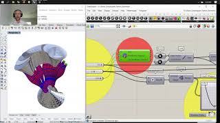 RHINO DEVELOPER: GhPython Script: Rhino Common TUTORIAL VIDEO POINT_002