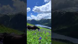 nature of God#nature #mountains #adventure #explore #youtubeshorts #explore