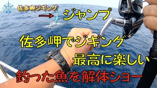 鹿児島佐多岬ジギング＆魚の解体ショー