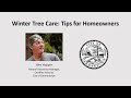 Winter Tree Care: Tips for Homeowners