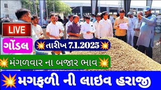 નવી મગફળી ના બજાર ભાવ/ આજના મગફળી ના બજાર ભાવ /Gondal marketing yatna bajar bhav