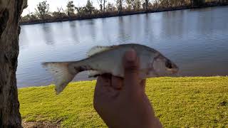 Fishing near Berri, South Australia