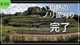 【草刈り】【ワラビ畑】二日掛かりでノリ面刈り払い完了。