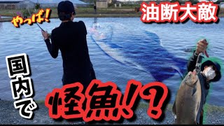 【怪魚】国内で怪魚が釣れる！？コロソマ釣り！in浜名湖フィッシングリゾート