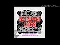 DJ FLAKO - Instrument Loops Sample Pack Vol.1