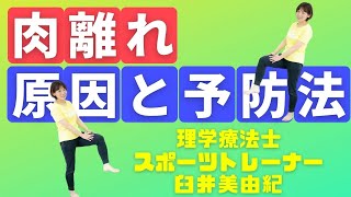 前もも・ふくらはぎ、裏もも/部位別肉離れの原因と予防法