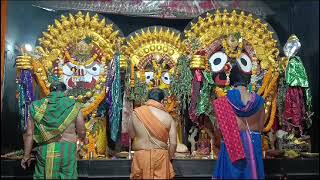 Shri Jagannath Sandhya Arati Darshan 🙏 || 01-Jan-2025