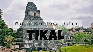 Tikal, Guatemala || The Most Important Mayan Ruins (Exploring The Jungle)