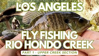 Rio Hondo Creek: The Raw Reality of Urban Fly Fishing - Part 1