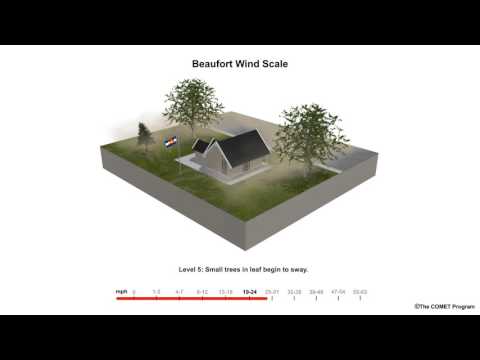 How big of waves does 10 mph winds make?