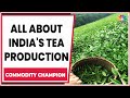 All About India's Premium Tea Production & Commodity Prices | Commodity Champion | CNBC-TV18