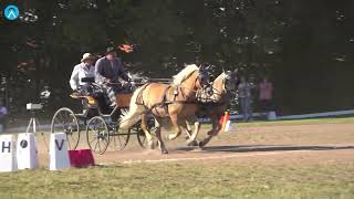 Fahrturnier in Reichshof-Eiershagen