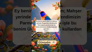 Günaydın hayırlı sabahlar #amin #keşfet #aboneol #youtubeshorts #destek #öneçıkar #dua #duet #fvpシ