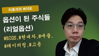 WISE-옵션이 된 주식들(#리얼옵션)