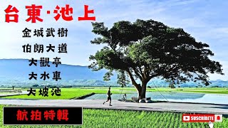 台東池上空拍||美不勝收||金城武樹||伯朗大道||十全大水車||大坡池