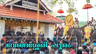 Vengasserry Pooram 2022 | ആവേശത്തിലാഴ്ത്തി വേങ്ങശ്ശേരിക്കാവ് പൂരം #krishnakdm