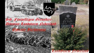 Henk Scholte : Volunteer Grenadier Division  SS Landstorm Netherlands at Operation Barbarossa NSB SS