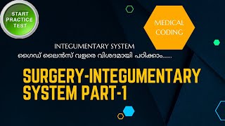 INTEGUMENTARY SYSTEM GUIDELINES AND PRACTICE QUESTIONS PART-1 || MEDICAL CODING