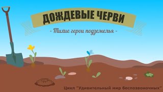 Первое кормление в стеллажах