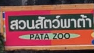 สวนสัตว์พาต้า (ปิ่นเกล้า) ปัจจุบันเป็นยังไงบ้างไปดูกัน.. ส่งท้ายปี 2567 😊😊😊 พาน้องนะโมไปครั้งแรก