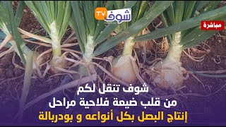 شوف تنقل لكم من قلب ضيعة فلاحية مراحل إنتاج البصل بكل أنواعه و بودربالة ..