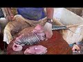 kasimedu 🔥 speed selvam 16 kg huge seer fish cutting video in kasimedu ff cutting 🔪