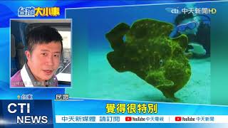 【整點精華】20210222 外星生物不演了!? 綠島海底怪魚\