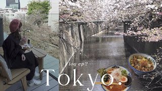 東京櫻花季🌸｜中目黑星巴克+目黑川賞櫻半日遊🌸代官山家居店地圖🥢