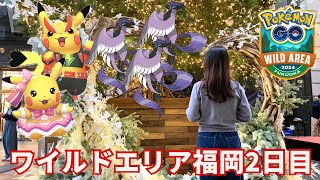 【ポケモンGO】ワイルドエリア福岡2日目!!!ガラル3鳥祭りで感動のフィナーレ!!!!!【福岡/天神】