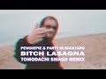 PewDiePie & Party In Backyard - Bitch Lasagna (Tomodachi Smash Remix)