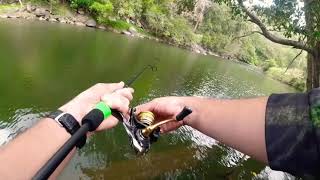 Freshwater Barra on zman finesse frog