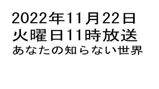 2022年11月22日火11時 あなたの知らない世界　AZUMI　本庄市