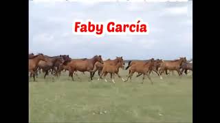 SOLO ME LLEVO EL CAJÓN Faby Garcia LETRA