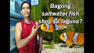 New SALTWATER FISH SHOP IN THE PHILIPPINES (CALAMBA CITY LAGUNA)