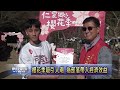 高山櫻花路跑登場 花海美景一路伴隨 南投新聞