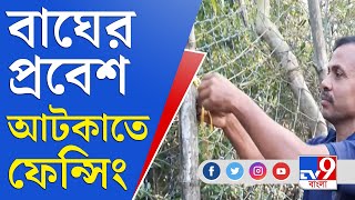 লোকালয়ে বাঘ ঢোকা আটকাতে কুলতলিতে ফেন্সিং | Tiger Protection | Kultoli | Fencing | Royal Bengal Tiger