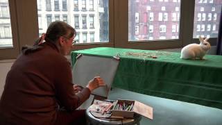 Preview | Drawing Realistic Animals with Patricia Traub