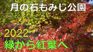 Autumn Leaves - From Green to Red [2022] 4K Nagatoro Tsukinoishi Momiji Park, Japan