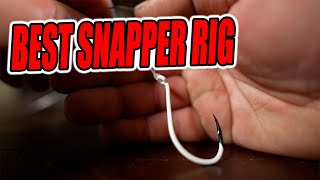 BEST Snapper Rig That Always Works 🎣 (Easy Tutorial)
