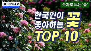 한국인이 좋아하는 꽃 TOP 10, 숲 전문 HORIM-TV