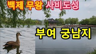 백제 무왕 / 부여 궁남지 / 사비도성