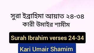 সুরা ইব্রাহিমা আয়াত ২৪-৩৪ || Surah Ibrahim 24-34  Kari Umair Shamim سورة ابراهيمة