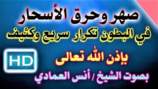 صهر وحرق الأسحار في البطون تكرار سريع وكثيف بصوت الشيخ / أنـــس العمادي نافعة بَإذن اللـــــــٌہ.