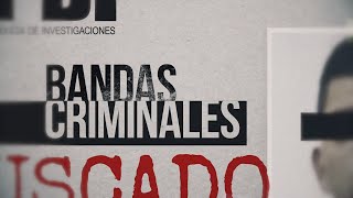 "Los Espartanos", banda criminal que opera en Chile desde el año 2021