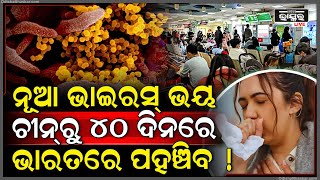 ୪୦ ଦିନରେ ଭାରତରେ ପହଞ୍ଚିବ ଏହି ମାରାତ୍ମକ ଭାଇରସ୍‌ !ସଂକ୍ରମିତ ହେଉଛନ୍ତି ଛୋଟ ଛୁଆ ଏବଂ ବୟସ୍କ ଲୋକ