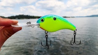 The Pro's Don't Want You To Know This Ledge Fishing Secret! + ( Monster Bass )